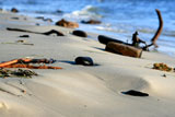 Strandindtryk