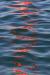 Boje reflektions 2