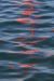 Boje reflektions 3