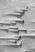stonewaves